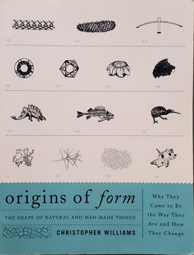 The Origins of Form